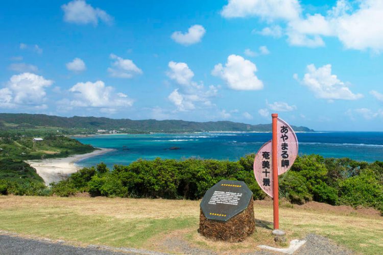 Amami Oshima highlights shore excursions
