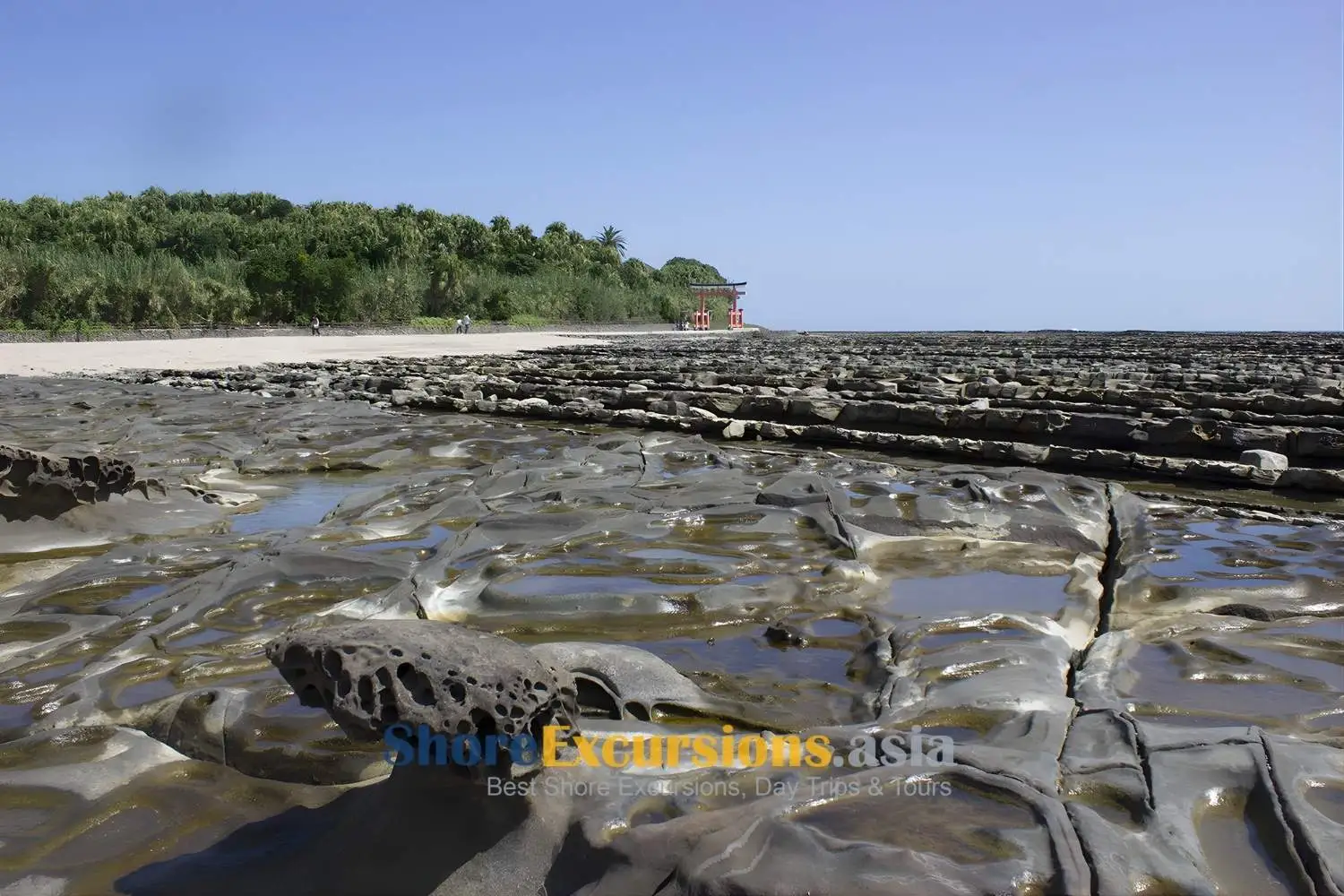Aoshima Island - Aburatsu shore excursions