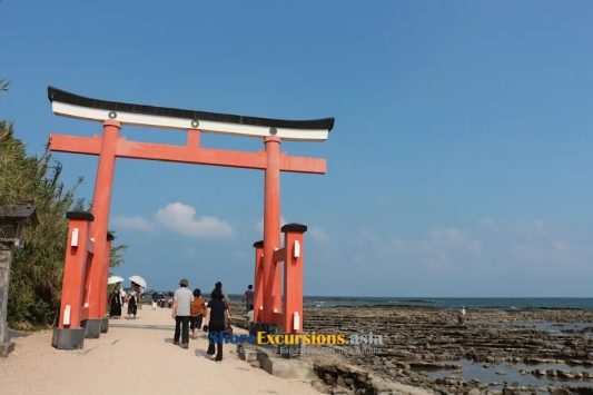 Aoshima Shrine on Aburatsu shore tour