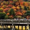 Arashiyama Autumn Foliage