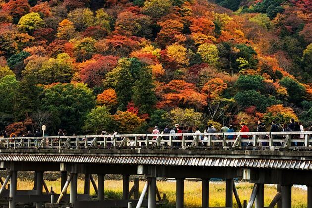 Arashiyama Autumn Foliage