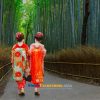 Arashiyama Bamboo Forest on Kyoto shore tours
