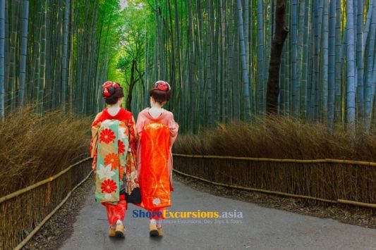 Arashiyama Bamboo Forest on Kyoto shore tours