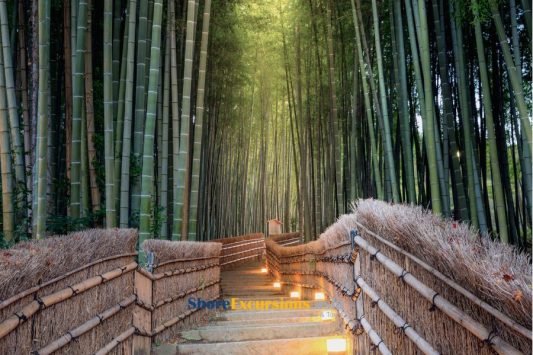 Arashiyama Bamboo Forest shore excursions