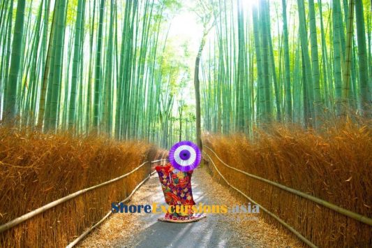 Arashiyama Bamboo Grove on a Kyoto cruise port excursion