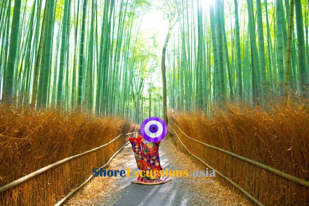 Arashiyama Bamboo Grove on a Kyoto cruise port excursion