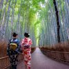Arashiyama-from-Kyoto-shore-excursions