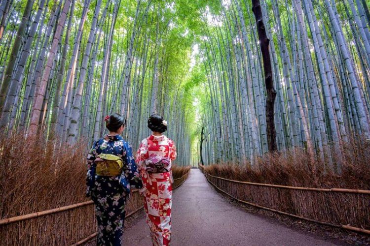 Arashiyama-from-Kyoto-shore-excursions