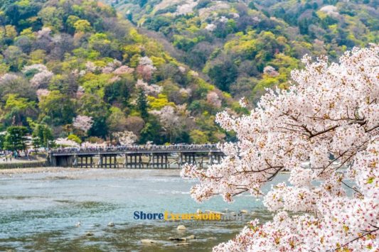 Arashiyama shore excursions from Maizuru port