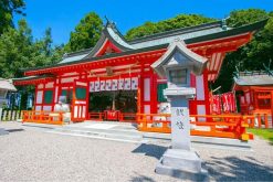 Asuka-jinja Shingu shore excursions