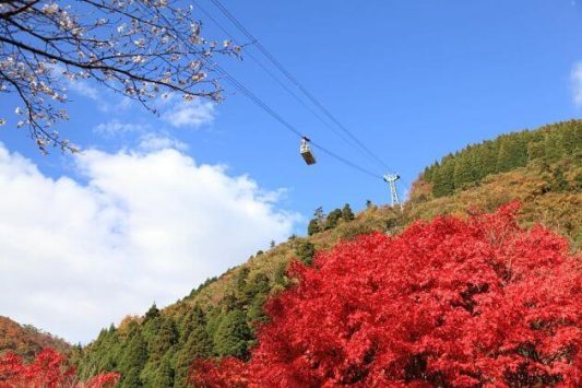 Beppu Ropeway