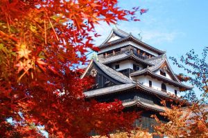 Best Places to See Autumn Foliage