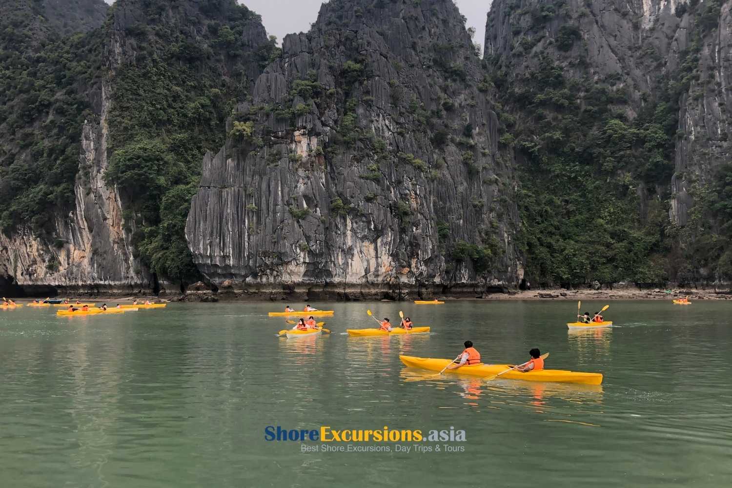 Best Time for Kayaking in the Bay