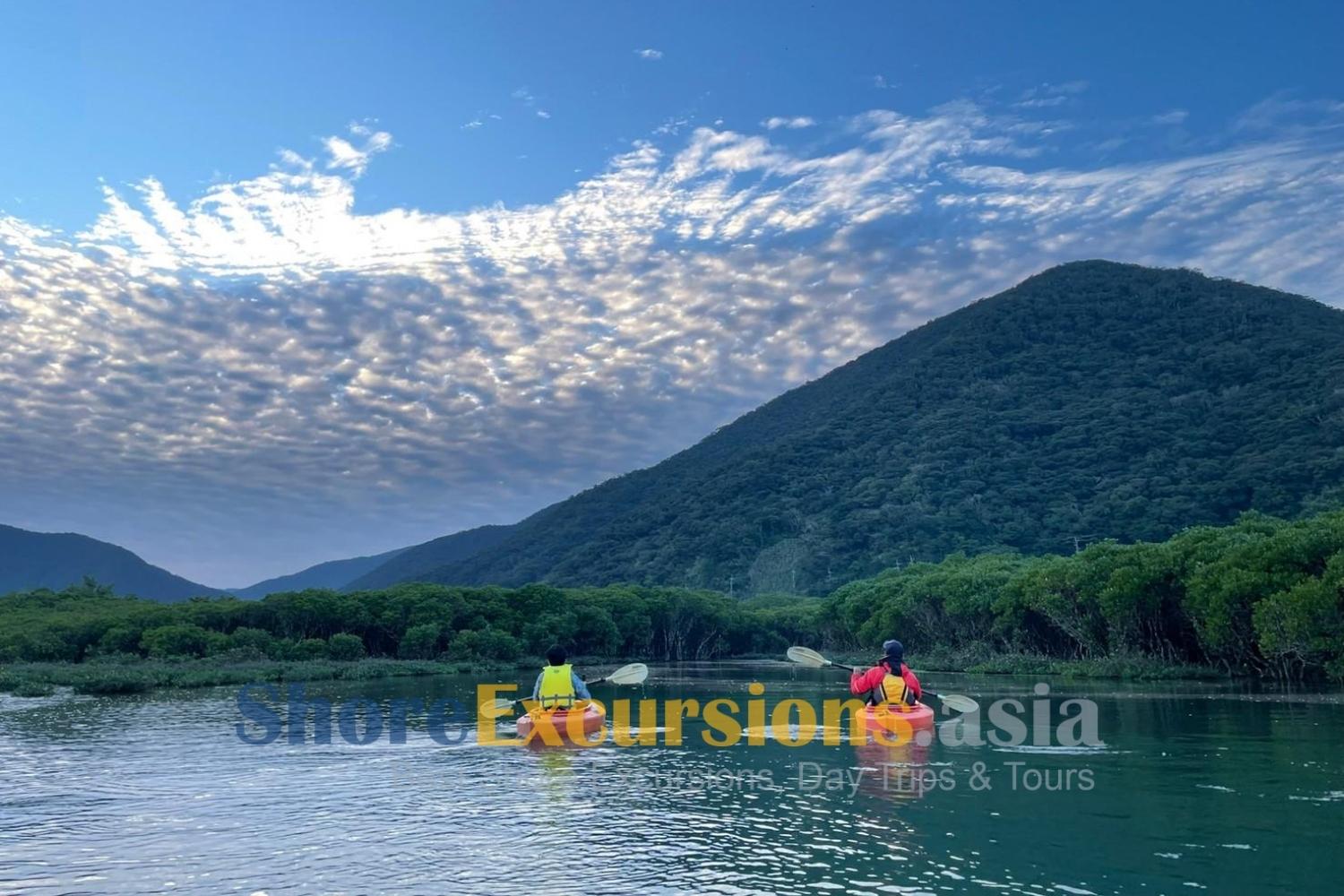 Best Time to Travel for Oshima Shore Excursions