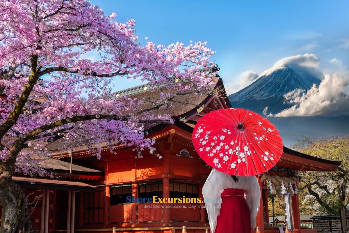 Best Time to Visit Mt.Fuji Japan