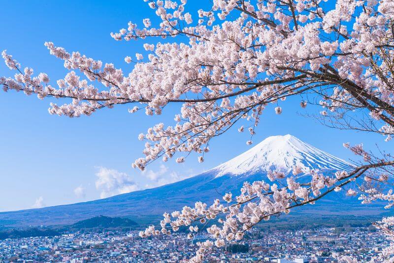 Best-place-view-Mount-Fuji