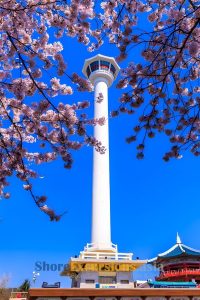 Busan Tower on Busan port shore excursions