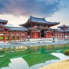 Byodoin Temple & Tea Plantation