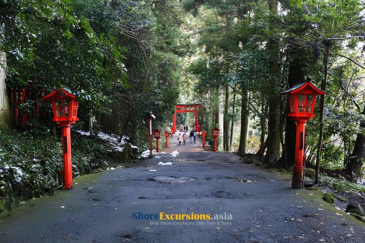 Can You Visit Hakone Shrine on a Shimizu Shore Excursion