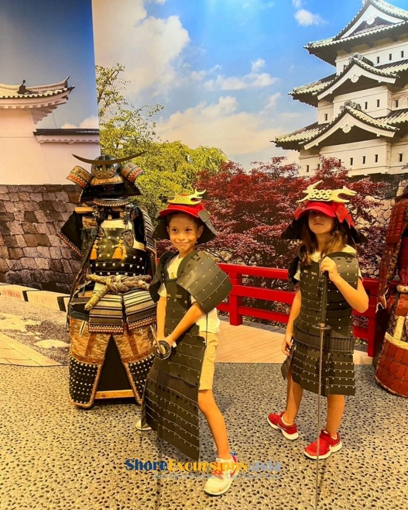 Carnival Luminosa shore excursions feedback