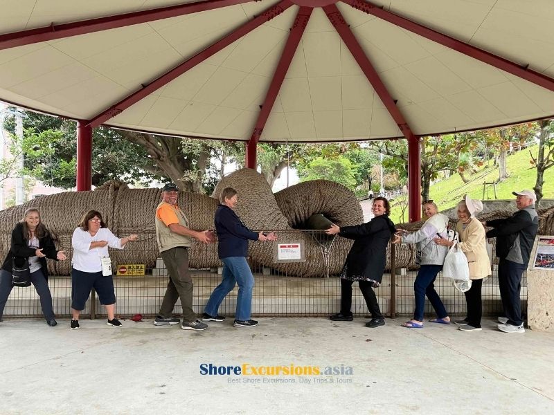 Carnival Luminosa shore excursions review