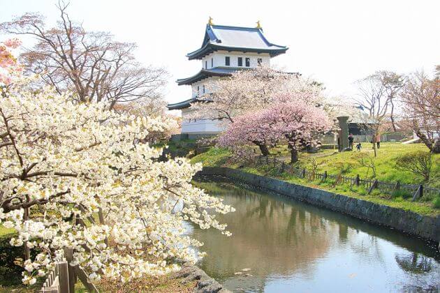 Cherry blossom viewing spots Nagasaki