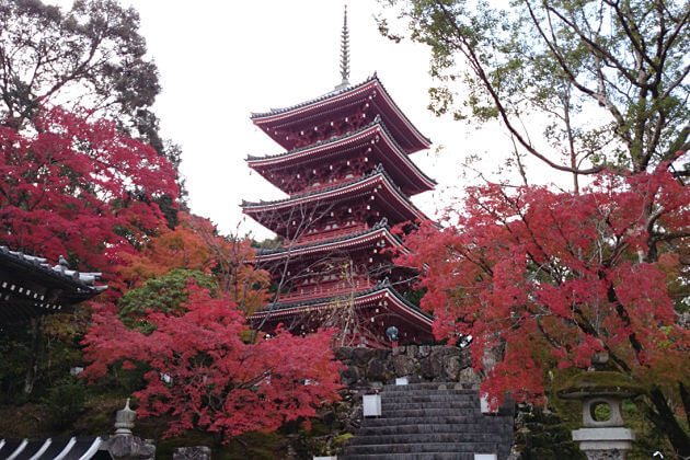 Chikurin Temple attractions Kochi Japan shore excursions