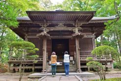 Chusonji Temple Iwate Miyako shore excursions