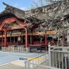 Dazaifu Tenmangu Shrine on Fukuoka shore tours