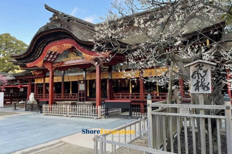 Dazaifu Tenmangu Shrine on Fukuoka shore tours