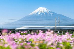 Discover Japan in September