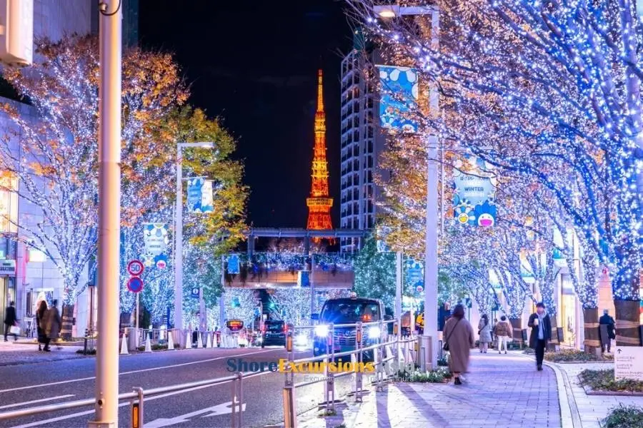 Discover Winter Illuminations in Japan