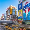 Dotonbori District on Osaka sightseeing tours