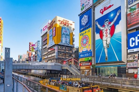 Dotonbori District on Osaka sightseeing tours