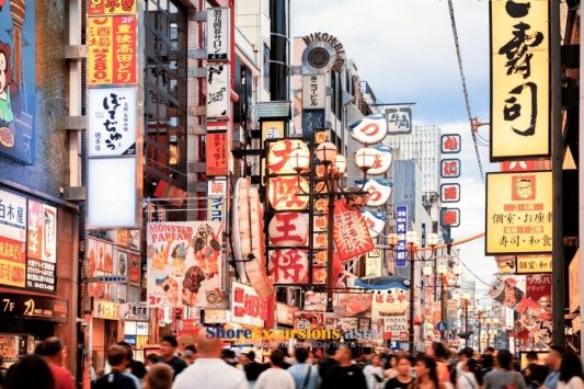 Dotonbori Street - Osaka Highlights Half-day Tour (1)