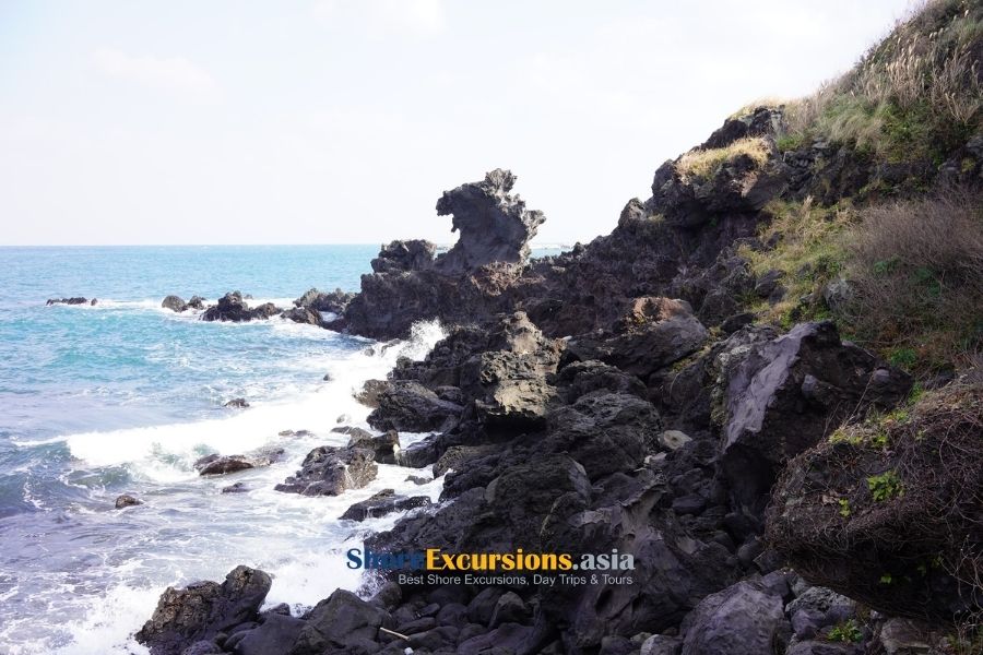 Dragon Head Rock - Jeju Island Shore Excursions Dragon Head Rock - Jeju Island Shore Excursions