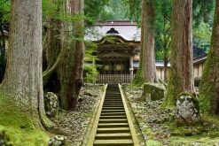 Eiheiji Temple Tsuruga shore excursions
