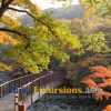 Eorimok Trails - Jeju island shore excursions