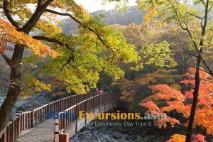 Eorimok Trails - Jeju island shore excursions
