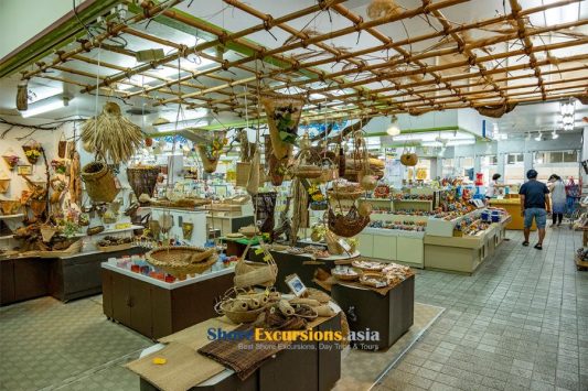 Euglena Mall on Ishigaki cruise excursions