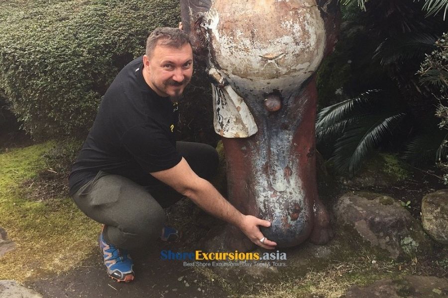 Experience Beppu cruise excursions