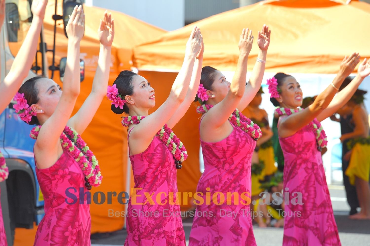 Experience Local Life on Hitachinaka shore excursions