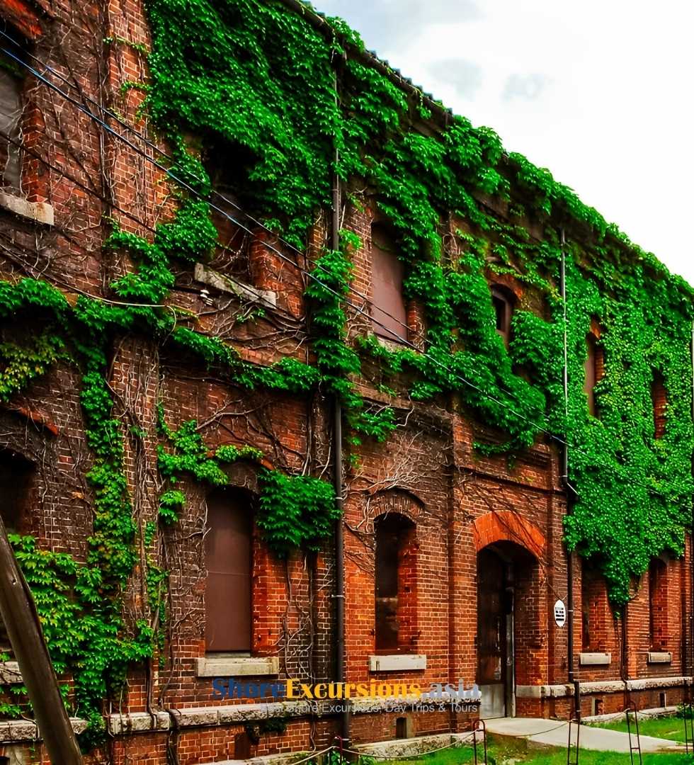 Explore Maizuru City - Maizuru shore excursions