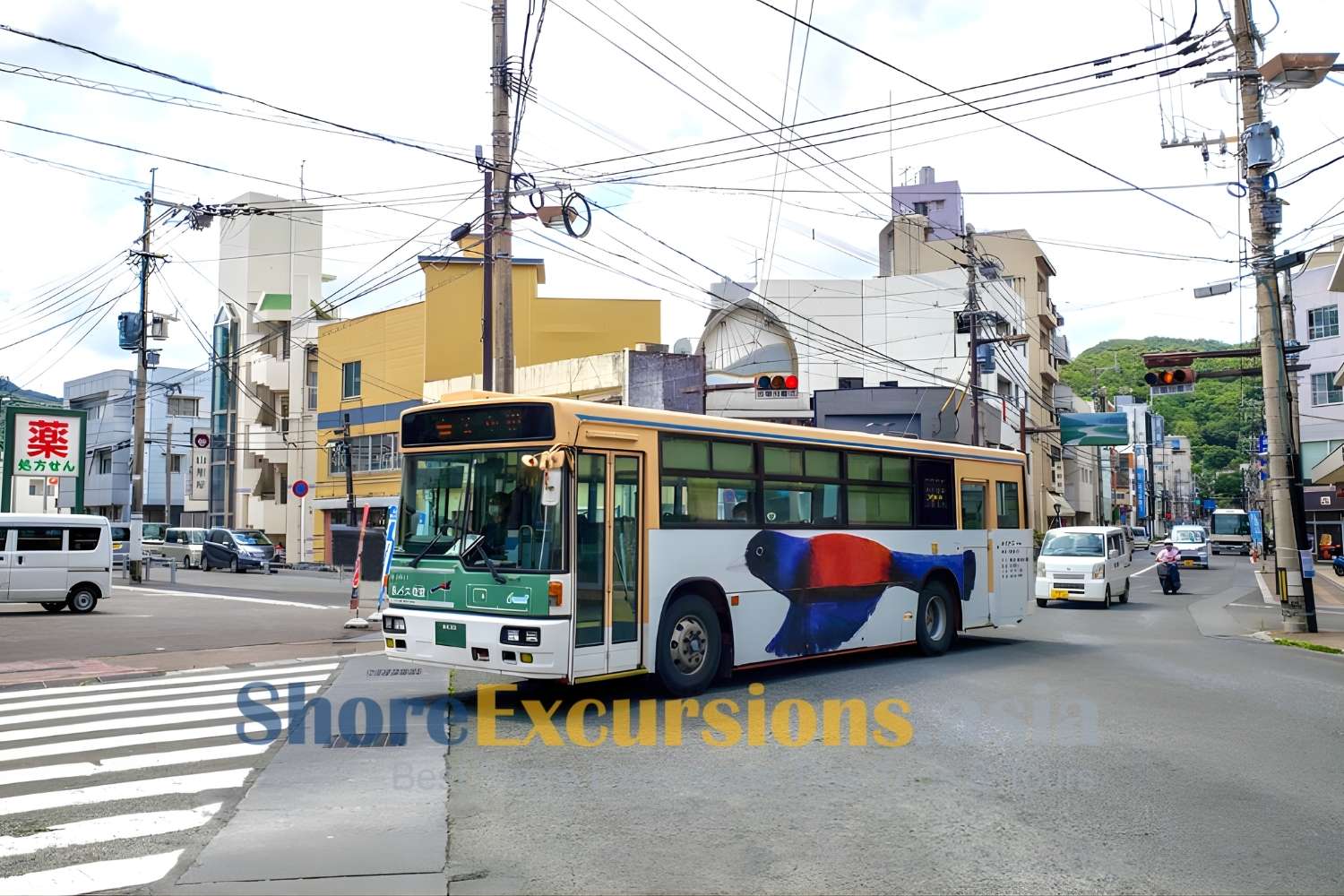 Explore Oshima tours by shuttle bus