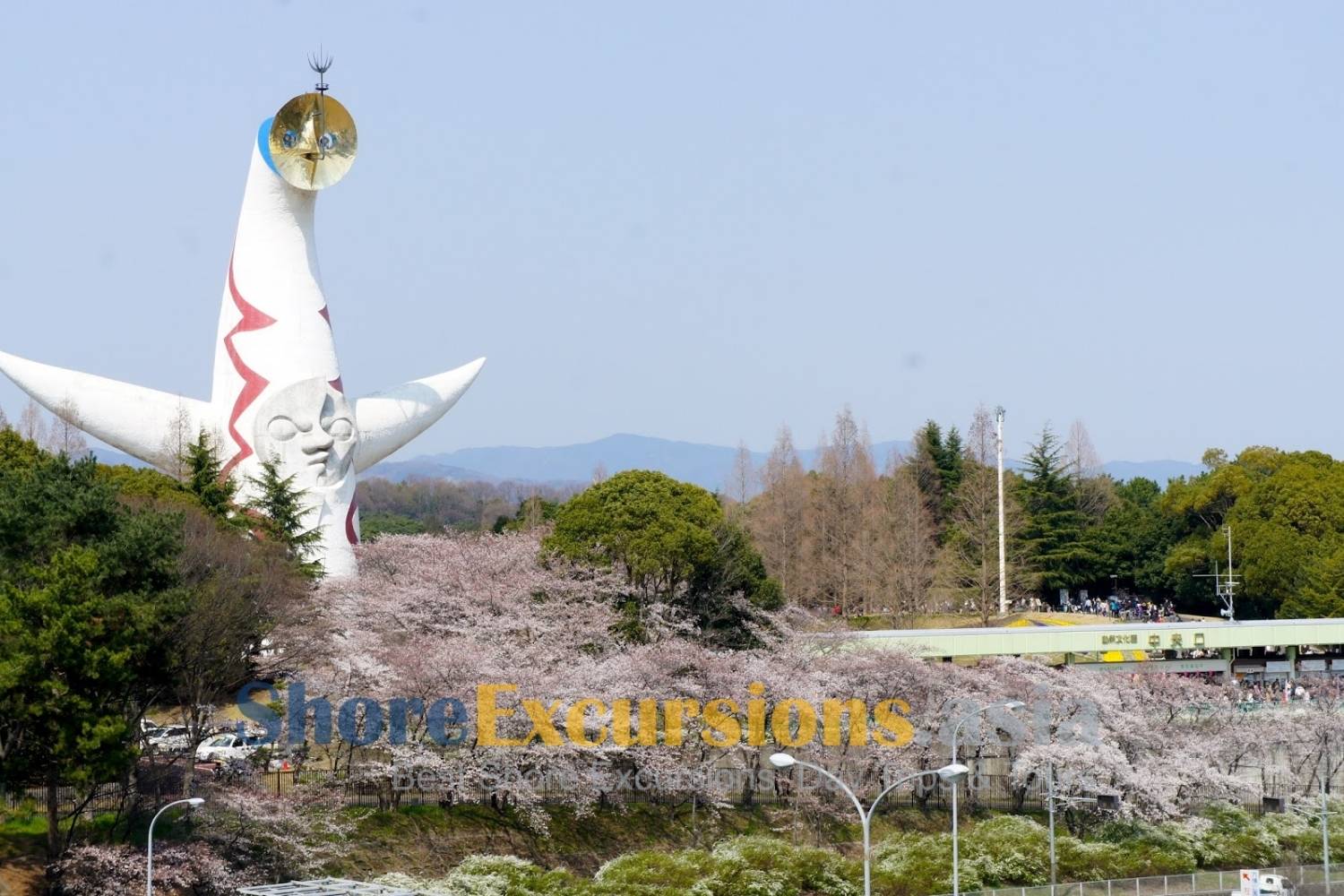 Expo ’70 Commemorative Park - Best Place to See Sakura in Osaka