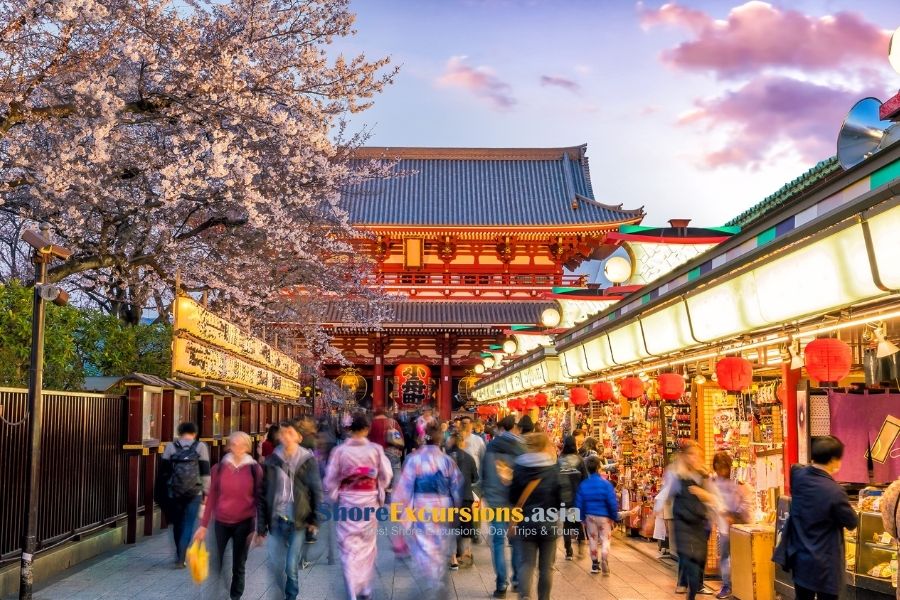 FAQs about Yokohama Shore Excursions