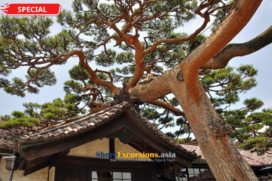 Former Main Residence of Homma Family in Sakata