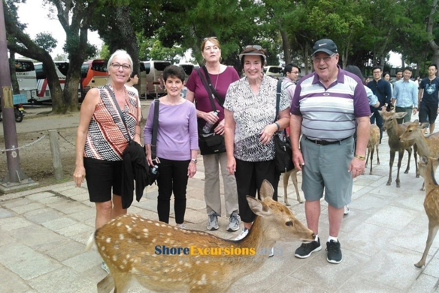 From Osaka port to Nara shore excursions