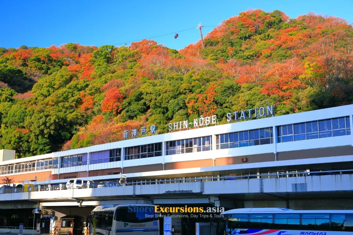 From Tokyo to Kobe Japan travel guide