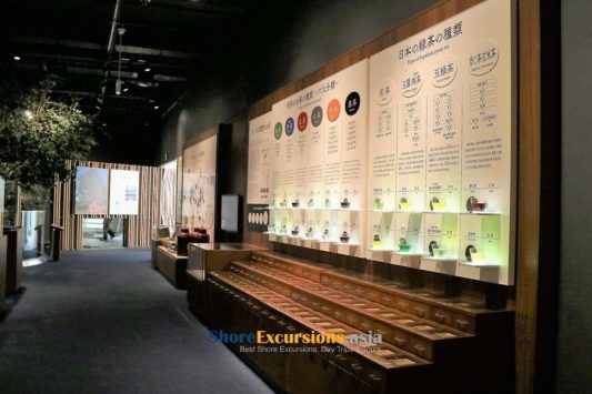 Fujinokuni Cha-no-Miyako Museum